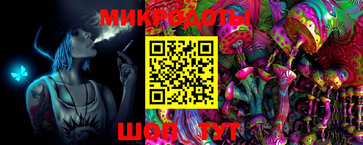 Галлюциногенные грибы Psilocybine cubensis Кстово