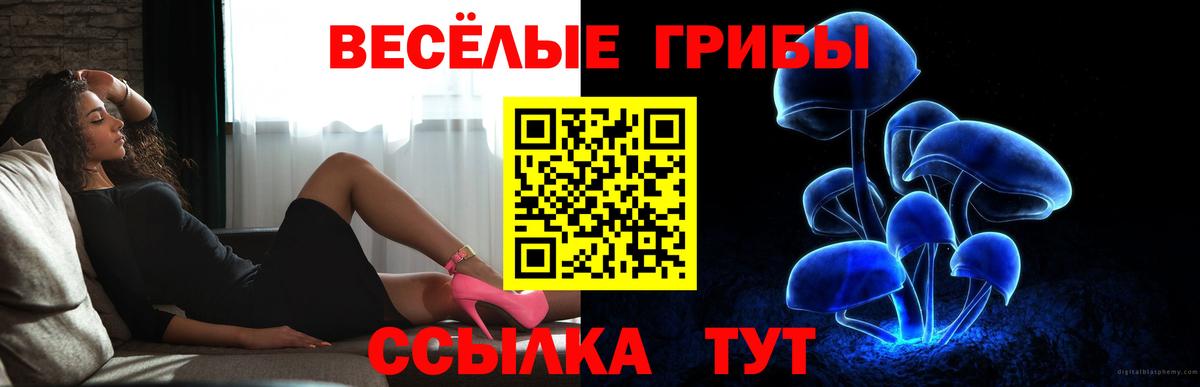 Кстово  Галлюциногенные грибы мицелий  Вход с VPN  Псилоцибиновые грибы Magic Shrooms 